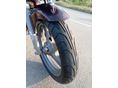 YAMAHA XJ 600 S 1995/6 - 5