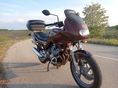 YAMAHA XJ 600 S 1995/6 - 7