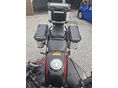 QJMOTOR SRT 800 2024/7 - 7