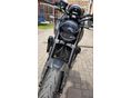TRIUMPH TRIDENT 2023 - 5