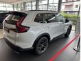 HONDA CR-V 2026/4 - 3