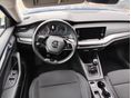 SKODA OCTAVIA 2021/5 - 6