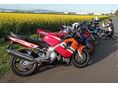 HONDA CBR 600 F4 2001 - 3