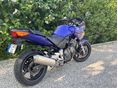 HONDA CBF 600 2004/6 - 6