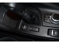 BMW X1 2017/1 - 17