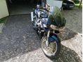 SUZUKI TL 1000 S 1997 - 6