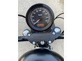 HARLEY-DAVIDSON SPORTSTER 883 IRON 2021/1 - 9