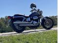SUZUKI VZ 800 (MARAUDER) 