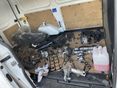 FORD TRANSIT 2019/11 - 9