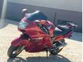 HONDA CBR 1100 XX 