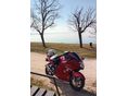HONDA CBR 1100 XX 2001/12 - 2
