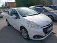 PEUGEOT 208 1.5 BlueHDi Van Active