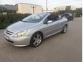 PEUGEOT 307 2005/9 - 6