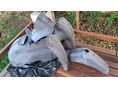 SIMSON SCHWALBE KR51/1