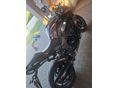 KAWASAKI Z 1000 SX 2021/8 - 5