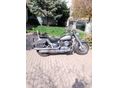 YAMAHA XVS 1100 A DRAG STAR 2007/12 - 2