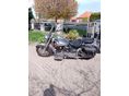 YAMAHA XVS 1100 A DRAG STAR 2007/12 - 3