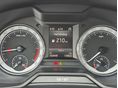 SKODA OCTAVIA 2019/12 - 12