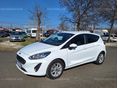 FORD FIESTA 2019/2 - 1