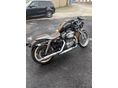 HARLEY-DAVIDSON SPORTSTER 883 2005/5 - 2