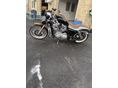HARLEY-DAVIDSON SPORTSTER 883 2005/5 - 4