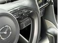 MAZDA 2 2023 - 14