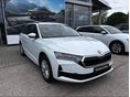 SKODA OCTAVIA 2026 - 2