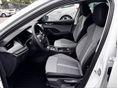 SKODA OCTAVIA 2026 - 7