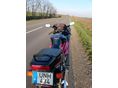 HONDA CBR 600 F2 1992/3 - 6