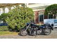 YAMAHA XVS 1300 A MIDNIGHT STAR VP26