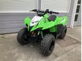 KAWASAKI KFX 90 2023/12 - 9