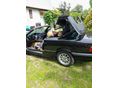 BMW 318 1995/8 - 6