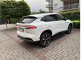 MG EHS 2025/1 - 3