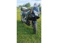 SUZUKI DL 1000 2002/10 - 4