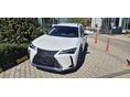LEXUS UX 2025 - 2