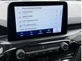 FORD KUGA 2022/11 - 11