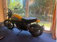 DUCATI SCRAMBLER Icon
