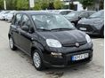 FIAT PANDA 2025/6 - 1