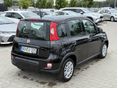 FIAT PANDA 2025/6 - 3
