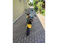 SUZUKI SV 650 N 2000/3 - 3