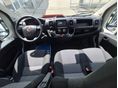 FIAT DUCATO 2020/10 - 6