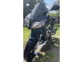 SUZUKI SV 1000 S 2006/5 - 2