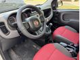 FIAT PANDA 2014/12 - 17