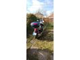 PIAGGIO BEVERLY 500 2009 - 4