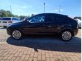 FORD FOCUS 2008/11 - 13
