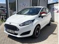 FORD FIESTA 2014/5 - 1