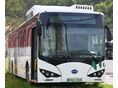 BYD 2018/12 - 2