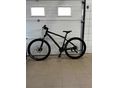 BICYCLE 2022/1 - 2