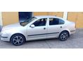 SKODA OCTAVIA 1.9 PD TDi Elegance DSG