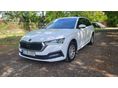 SKODA OCTAVIA 2020/11 - 1